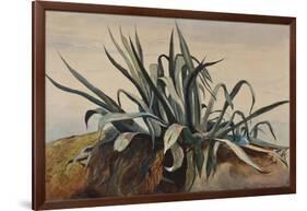 Study of an Agave, with Additions by a Borbone Pupil-Giacinto Gigante-Framed Giclee Print