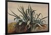 Study of an Agave, with Additions by a Borbone Pupil-Giacinto Gigante-Framed Giclee Print