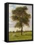 Study of an Ash Tree in Summer, 1883-James Hey Davies-Framed Stretched Canvas