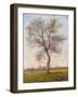 Study of an Ash Tree in Winter, 1883-James Hey Davies-Framed Giclee Print