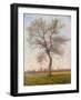 Study of an Ash Tree in Winter, 1883-James Hey Davies-Framed Giclee Print