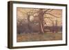 'Study of an Oak Tree', c1878 (1903-1904)-George Wilson-Framed Giclee Print