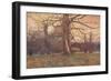 'Study of an Oak Tree', c1878 (1903-1904)-George Wilson-Framed Giclee Print