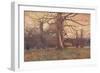 'Study of an Oak Tree', c1878 (1903-1904)-George Wilson-Framed Giclee Print