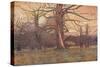 'Study of an Oak Tree', c1878 (1903-1904)-George Wilson-Stretched Canvas