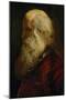 Study of an Old Man, circa 1610-Peter Paul Rubens-Mounted Giclee Print