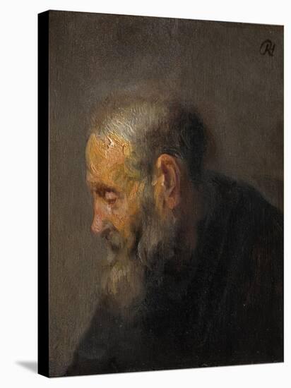 Study of an Old Man in Profile, C.1630-Rembrandt van Rijn-Stretched Canvas