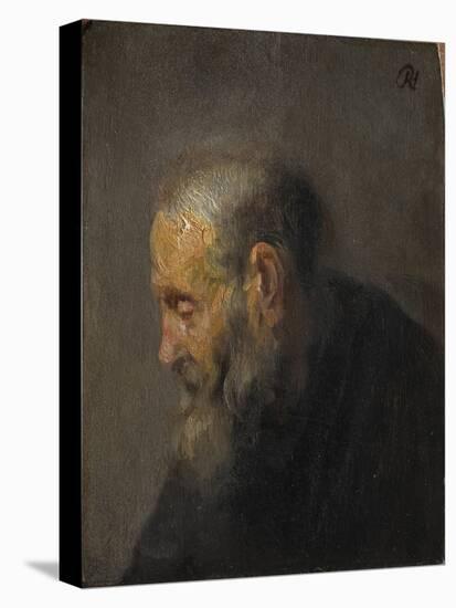 Study of an Old Man in Profile, c. 1630-Rembrandt van Rijn-Stretched Canvas