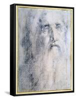 'Study of an old Man's head with a beard', c1535-Domenico Beccafumi-Framed Stretched Canvas