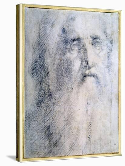 'Study of an old Man's head with a beard', c1535-Domenico Beccafumi-Stretched Canvas