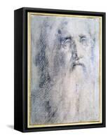 'Study of an old Man's head with a beard', c1535-Domenico Beccafumi-Framed Stretched Canvas