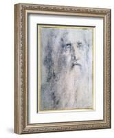 'Study of an old Man's head with a beard', c1535-Domenico Beccafumi-Framed Giclee Print