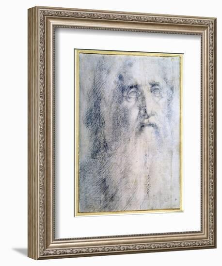 'Study of an old Man's head with a beard', c1535-Domenico Beccafumi-Framed Giclee Print