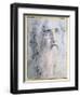 'Study of an old Man's head with a beard', c1535-Domenico Beccafumi-Framed Giclee Print