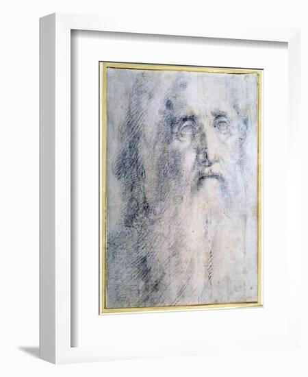 'Study of an old Man's head with a beard', c1535-Domenico Beccafumi-Framed Giclee Print