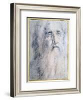 'Study of an old Man's head with a beard', c1535-Domenico Beccafumi-Framed Giclee Print