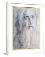 'Study of an old Man's head with a beard', c1535-Domenico Beccafumi-Framed Giclee Print