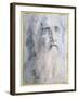 'Study of an old Man's head with a beard', c1535-Domenico Beccafumi-Framed Giclee Print