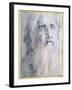 'Study of an old Man's head with a beard', c1535-Domenico Beccafumi-Framed Giclee Print