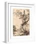 Study of an Old Oak Tree, Water on Right, a Man on Left, 1806, Pen-And-Tusche Lithograph-George Samuel-Framed Giclee Print