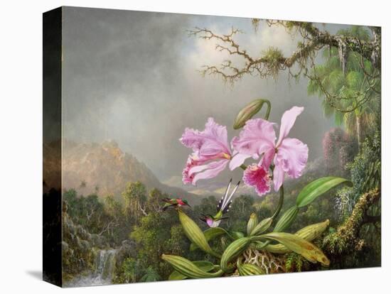 Study of an Orchid, 1872-Martin Johnson Heade-Stretched Canvas