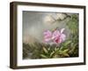 Study of an Orchid, 1872-Martin Johnson Heade-Framed Giclee Print