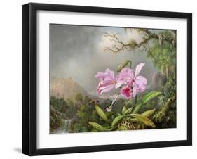 Study of an Orchid, 1872-Martin Johnson Heade-Framed Giclee Print