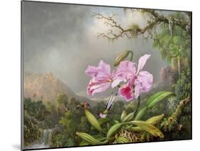 Study of an Orchid, 1872-Martin Johnson Heade-Mounted Giclee Print