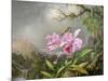 Study of an Orchid, 1872-Martin Johnson Heade-Mounted Giclee Print