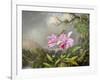 Study of an Orchid, 1872-Martin Johnson Heade-Framed Giclee Print