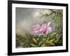 Study of an Orchid, 1872-Martin Johnson Heade-Framed Giclee Print