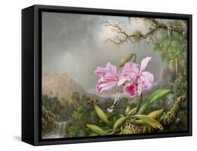 Study of an Orchid, 1872-Martin Johnson Heade-Framed Stretched Canvas