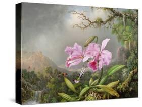 Study of an Orchid, 1872-Martin Johnson Heade-Stretched Canvas