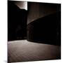 Study of Architectural Curves-Edoardo Pasero-Mounted Photographic Print