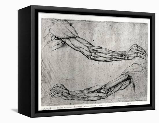 Study of Arms-Leonardo da Vinci-Framed Stretched Canvas