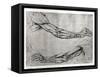 Study of Arms-Leonardo da Vinci-Framed Stretched Canvas