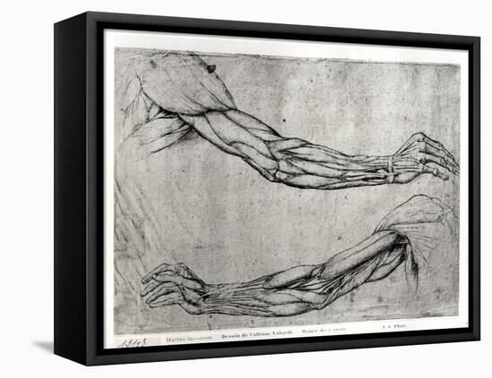 Study of Arms-Leonardo da Vinci-Framed Stretched Canvas