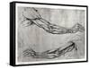 Study of Arms-Leonardo da Vinci-Framed Stretched Canvas