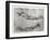 Study of Arms-Leonardo da Vinci-Framed Giclee Print