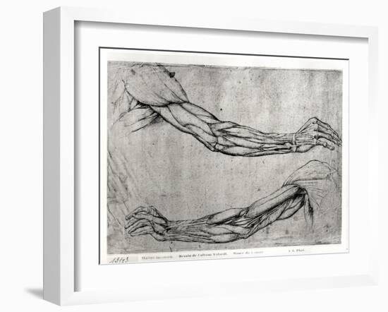 Study of Arms-Leonardo da Vinci-Framed Giclee Print