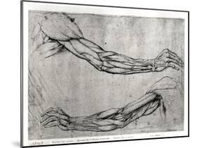 Study of Arms-Leonardo da Vinci-Mounted Giclee Print