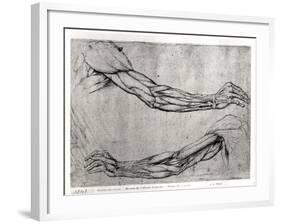 Study of Arms-Leonardo da Vinci-Framed Giclee Print