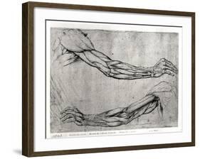 Study of Arms-Leonardo da Vinci-Framed Giclee Print