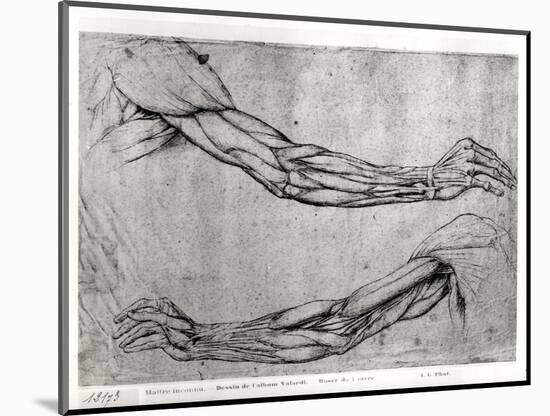 Study of Arms-Leonardo da Vinci-Mounted Giclee Print