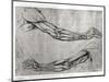 Study of Arms-Leonardo da Vinci-Mounted Giclee Print
