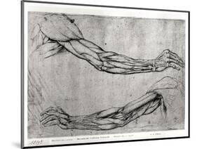 Study of Arms-Leonardo da Vinci-Mounted Giclee Print