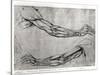 Study of Arms-Leonardo da Vinci-Stretched Canvas