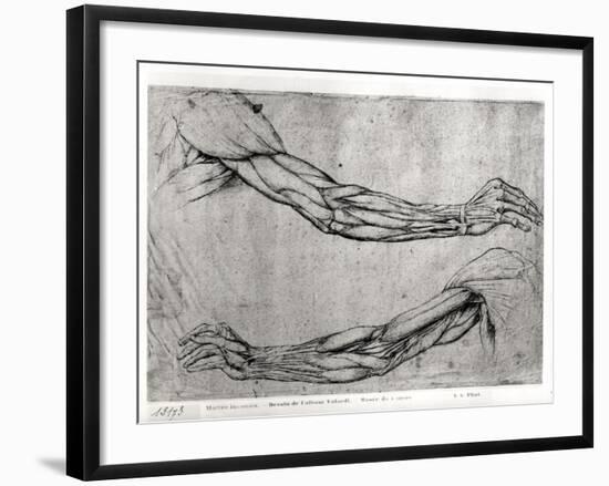 Study of Arms-Leonardo da Vinci-Framed Giclee Print