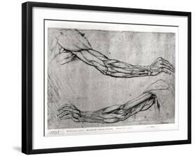 Study of Arms-Leonardo da Vinci-Framed Giclee Print