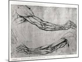 Study of Arms-Leonardo da Vinci-Mounted Giclee Print